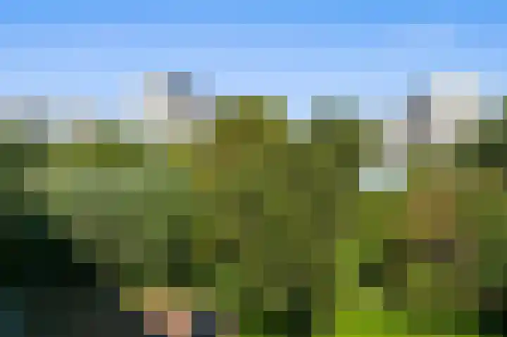 Nicolaas Beetslaan 41 Voorburg thumbnail 15