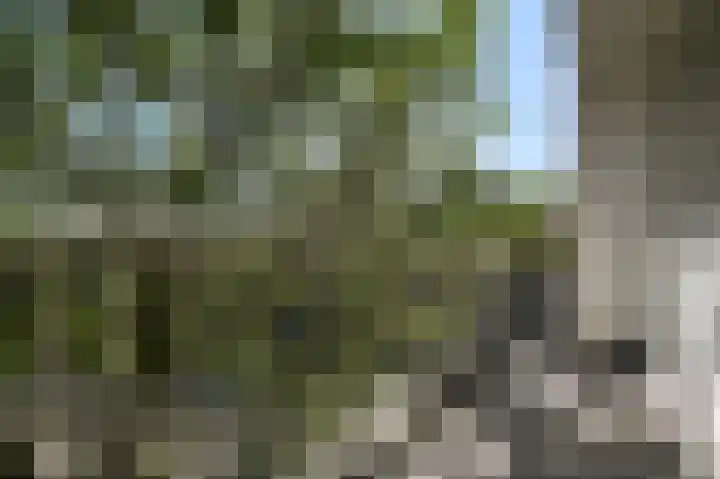 Nicolaas Beetslaan 41 Voorburg thumbnail 9