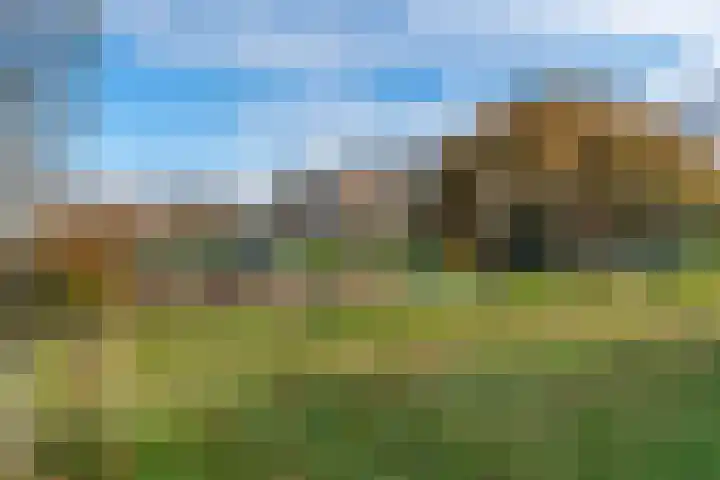Nicolaas Beetslaan 42 Zandvoort thumbnail 45