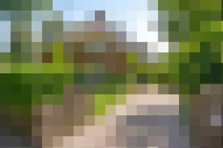 Nicolaas Beetslaan 43 Baarn thumbnail 23