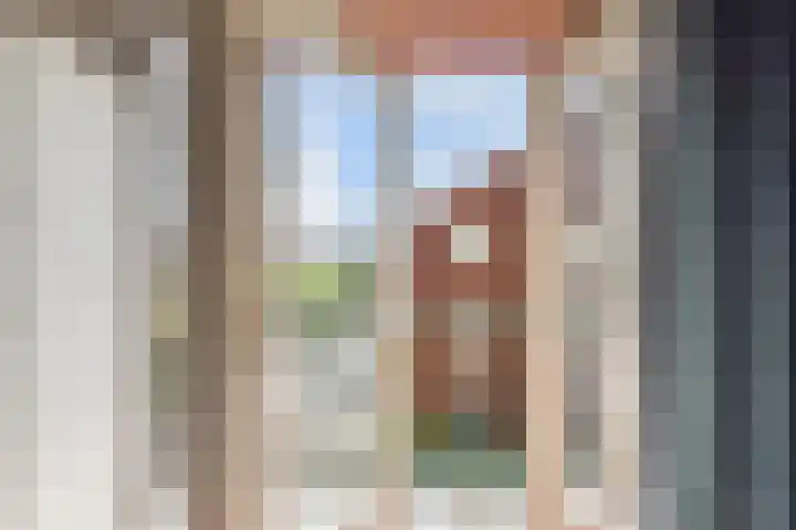 Nicolaas Beetslaan 46 Voorburg thumbnail 39