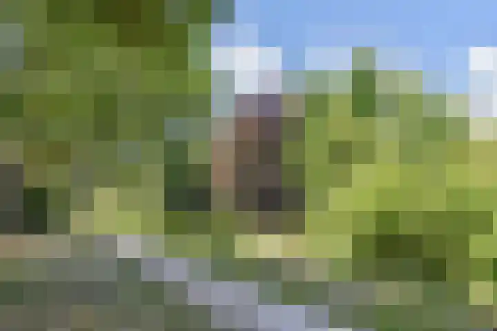 Nicolaas Beetslaan 46 Voorburg thumbnail 44