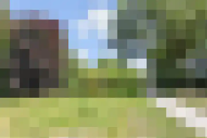Nicolaas Beetslaan 46 Voorburg thumbnail 45