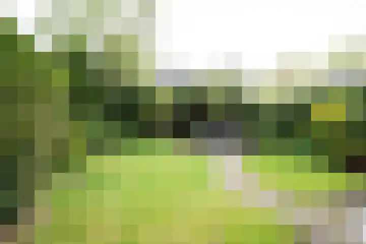 Nicolaas Beetslaan 47 Oldenzaal thumbnail 36