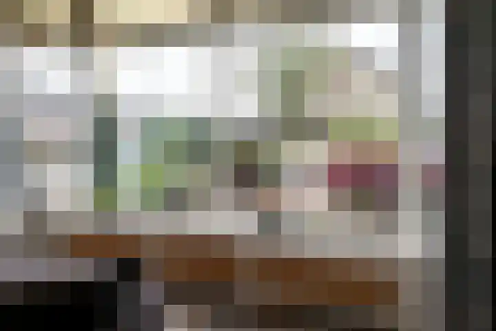 Nicolaas Beetslaan 47 Oldenzaal thumbnail 8