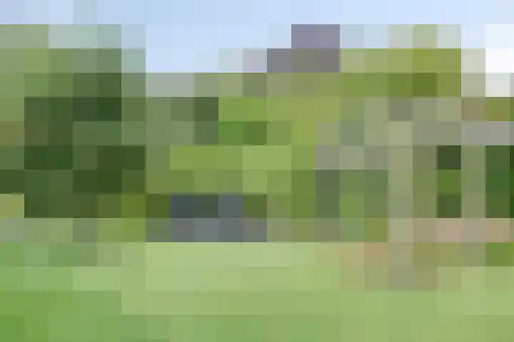 Nicolaas Beetslaan 48 Assen thumbnail 42
