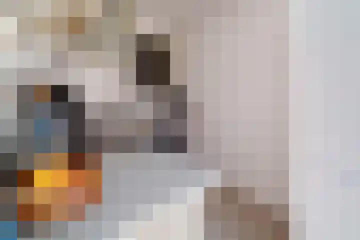 Nicolaas Beetslaan 52 Voorburg thumbnail 12