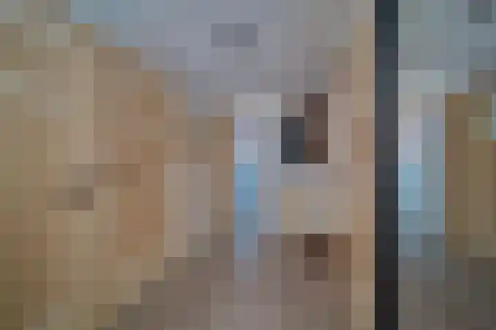 Nicolaas Beetslaan 52 Voorburg thumbnail 13