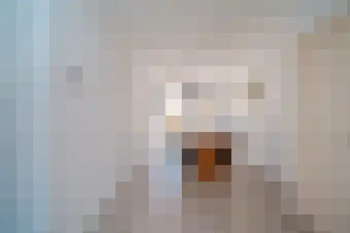 Nicolaas Beetslaan 52 Voorburg thumbnail 6