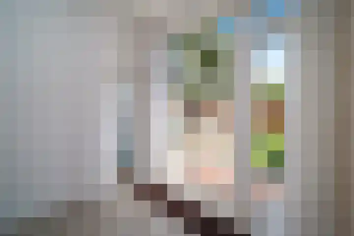 Nicolaas Beetslaan 52 Voorburg thumbnail 7