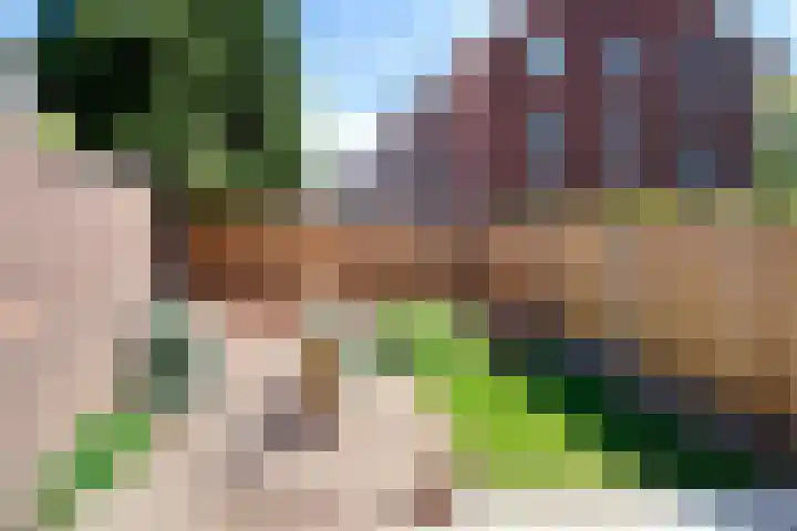 Nicolaas Beetslaan 52 Voorburg thumbnail 8