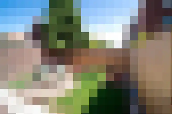 Nicolaas Beetslaan 52 Voorburg thumbnail 9