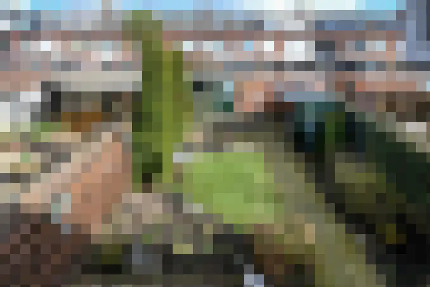 Nicolaas Beetslaan 53 Uithoorn thumbnail 20