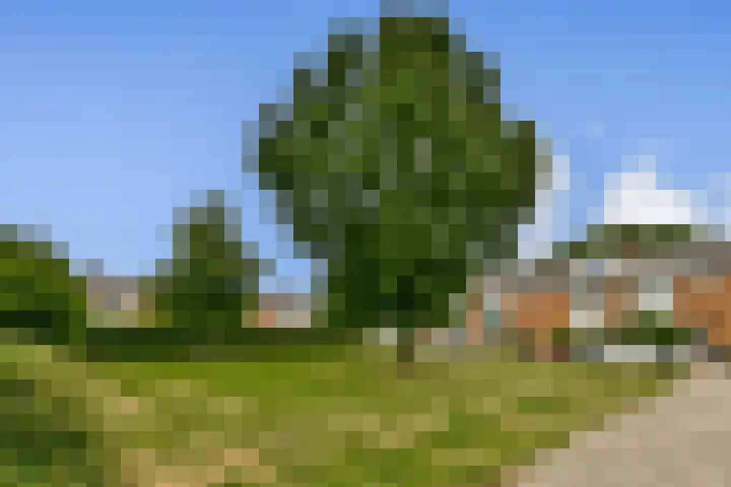 Nicolaas Beetslaan 56 Uithoorn thumbnail 31