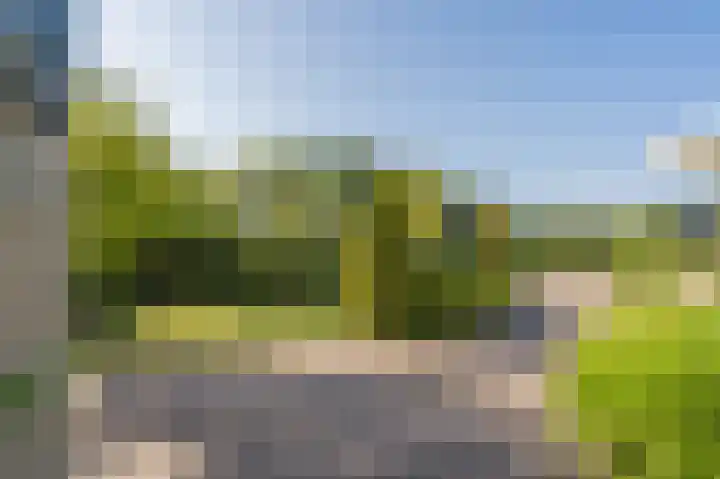 Nicolaas Beetslaan 6 Assen thumbnail 10