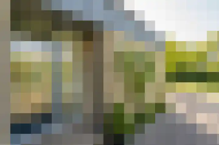 Nicolaas Beetslaan 6 Assen thumbnail 12
