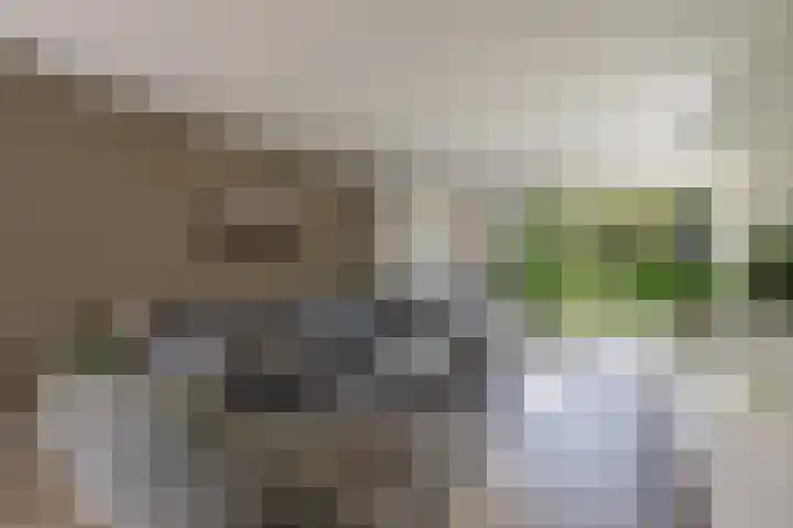 Nicolaas Beetslaan 6 Assen thumbnail 20