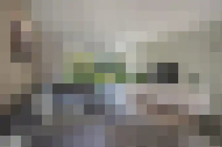Nicolaas Beetslaan 6 Assen thumbnail 21
