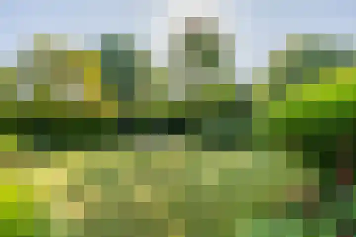 Nicolaas Beetslaan 6 Assen thumbnail 58