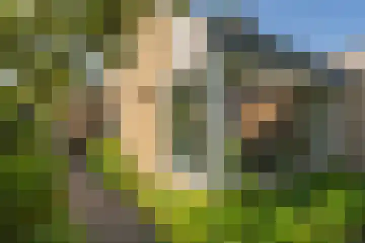 Nicolaas Beetslaan 6 Assen thumbnail 66