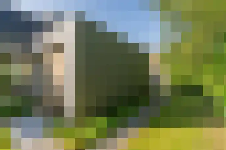 Nicolaas Beetslaan 6 Assen thumbnail 69