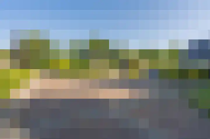Nicolaas Beetslaan 6 Assen thumbnail 7