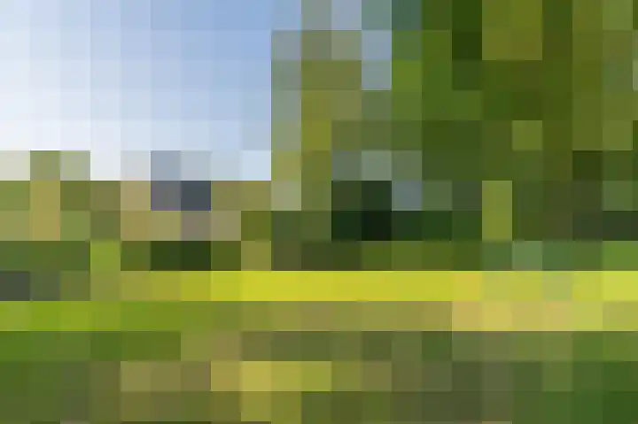 Nicolaas Beetslaan 6 Assen thumbnail 72
