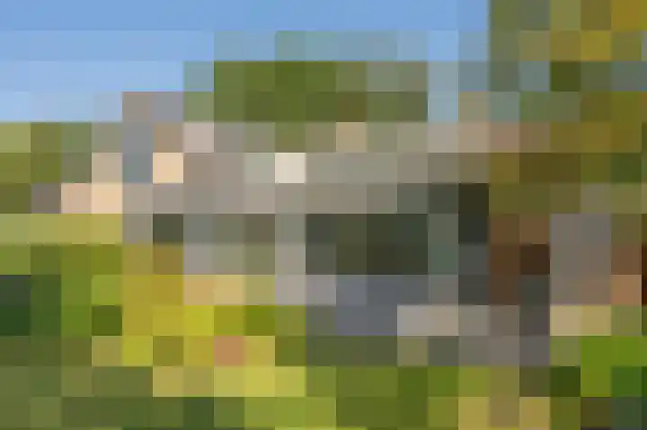 Nicolaas Beetslaan 6 Assen thumbnail 78