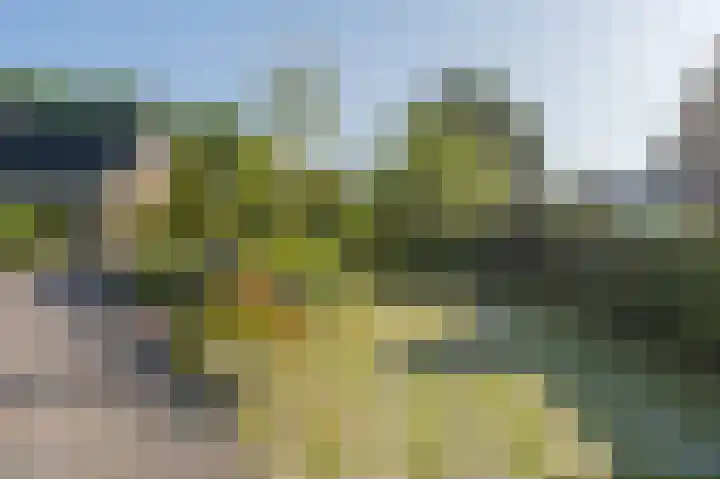 Nicolaas Beetslaan 6 Assen thumbnail 8