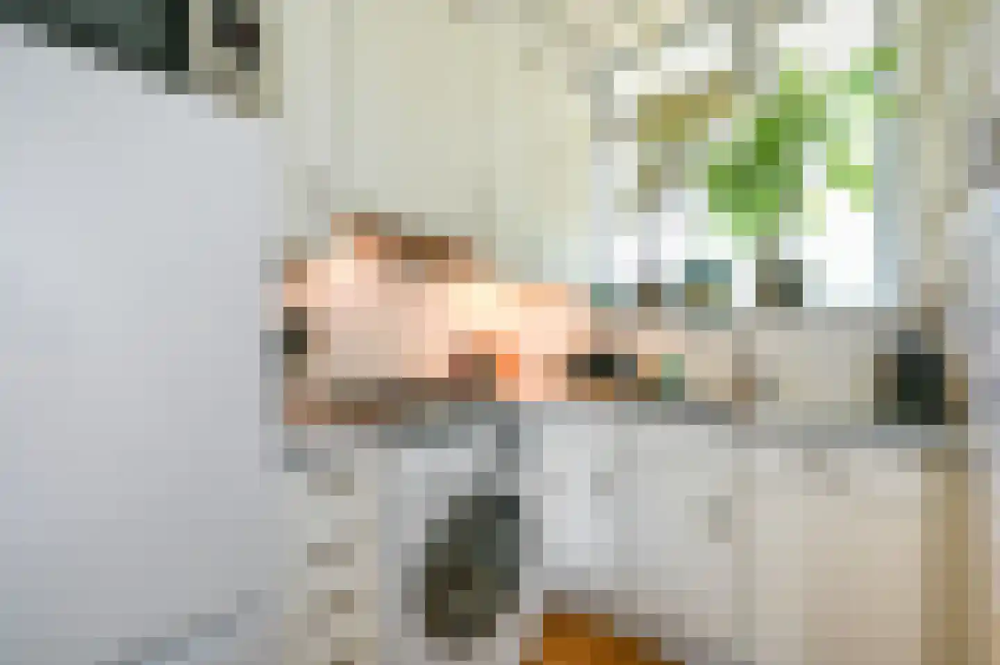 Nicolaas Beetslaan 65 Voorburg thumbnail 16