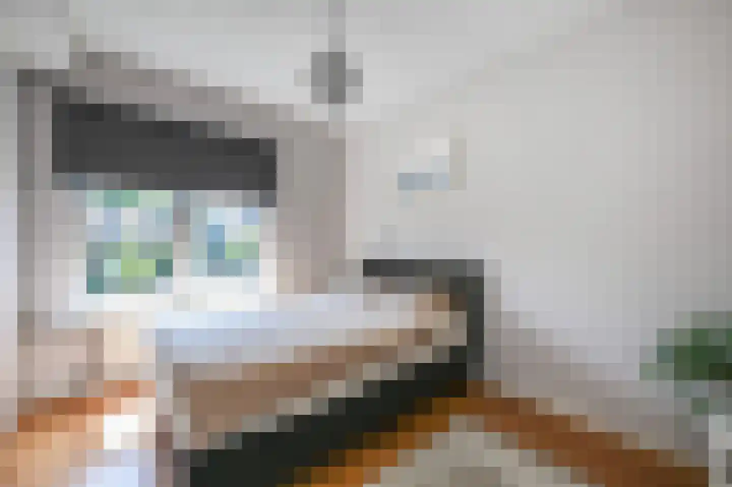 Nicolaas Beetslaan 65 Voorburg thumbnail 18