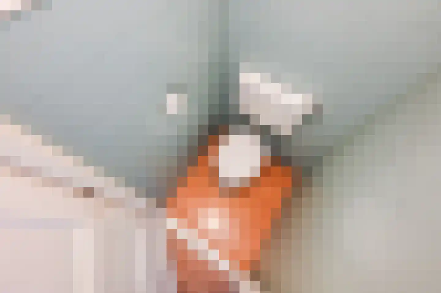 Nicolaas Beetslaan 65 Voorburg thumbnail 5