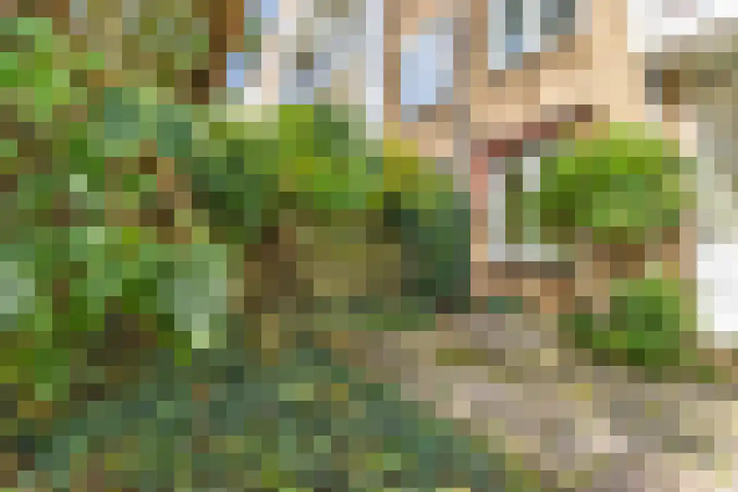 Nicolaas Beetslaan 7 Voorburg thumbnail 28