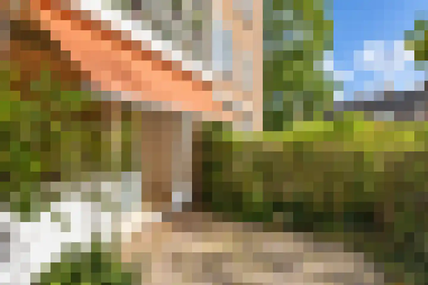 Nicolaas Beetslaan 7 Voorburg thumbnail 32