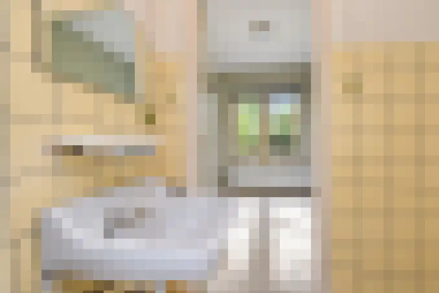 Nicolaas Beetslaan 7 Voorburg thumbnail 40