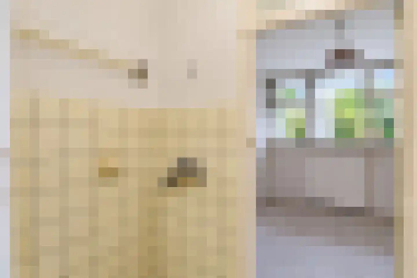 Nicolaas Beetslaan 7 Voorburg thumbnail 43