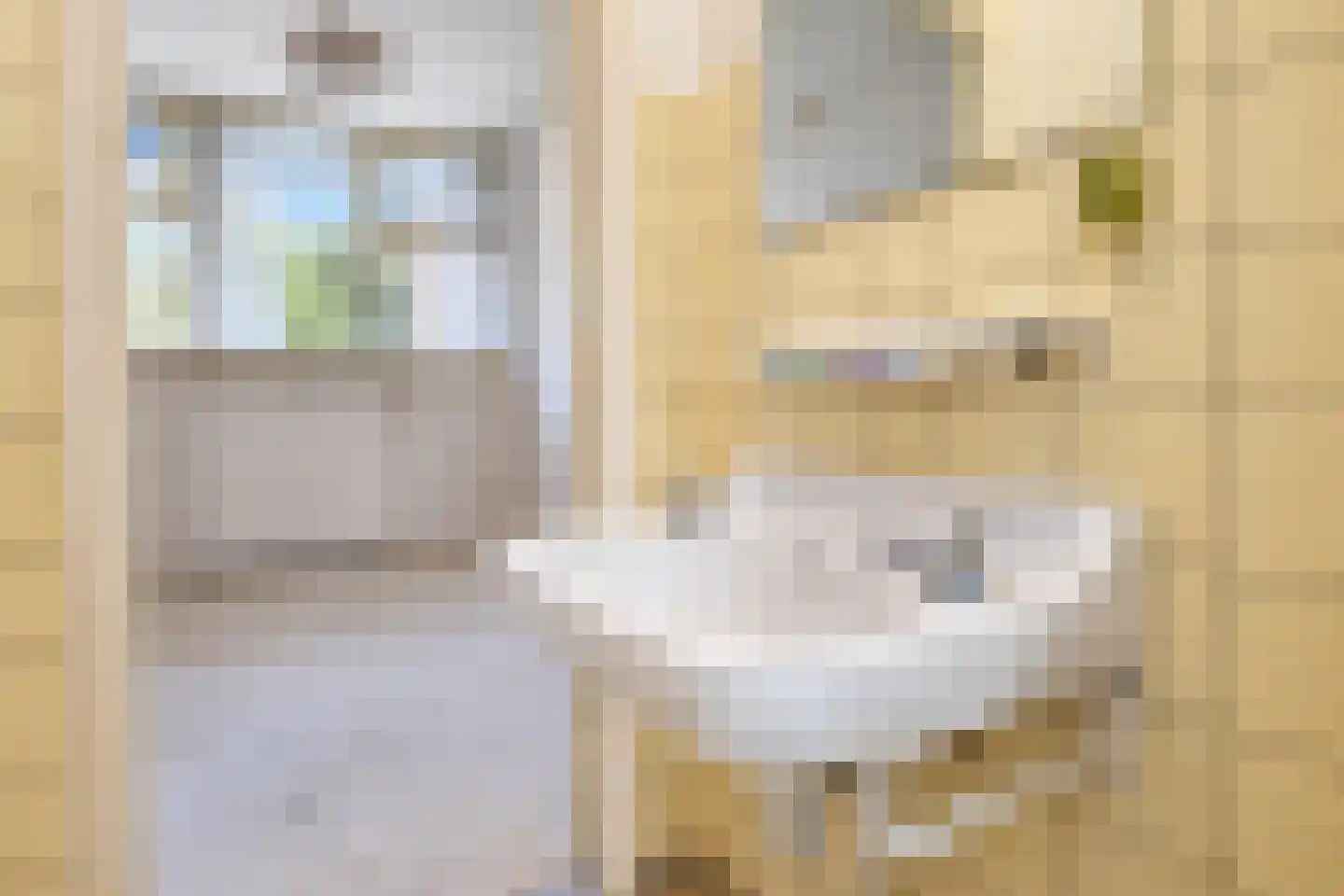 Nicolaas Beetslaan 7 Voorburg thumbnail 44