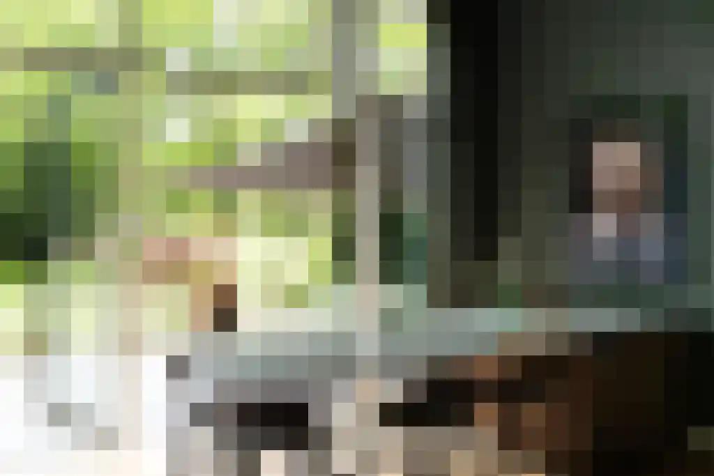 Nicolaas Beetslaan 8 Aerdenhout thumbnail 5
