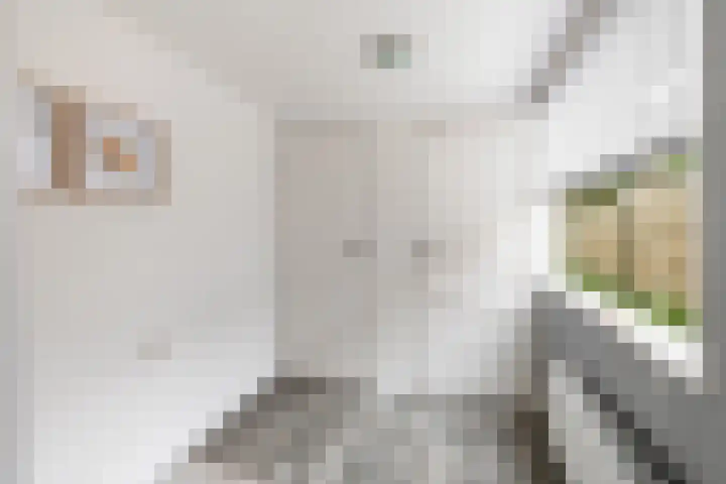 Nicolaas Beetslaan 8 Zeist thumbnail 22