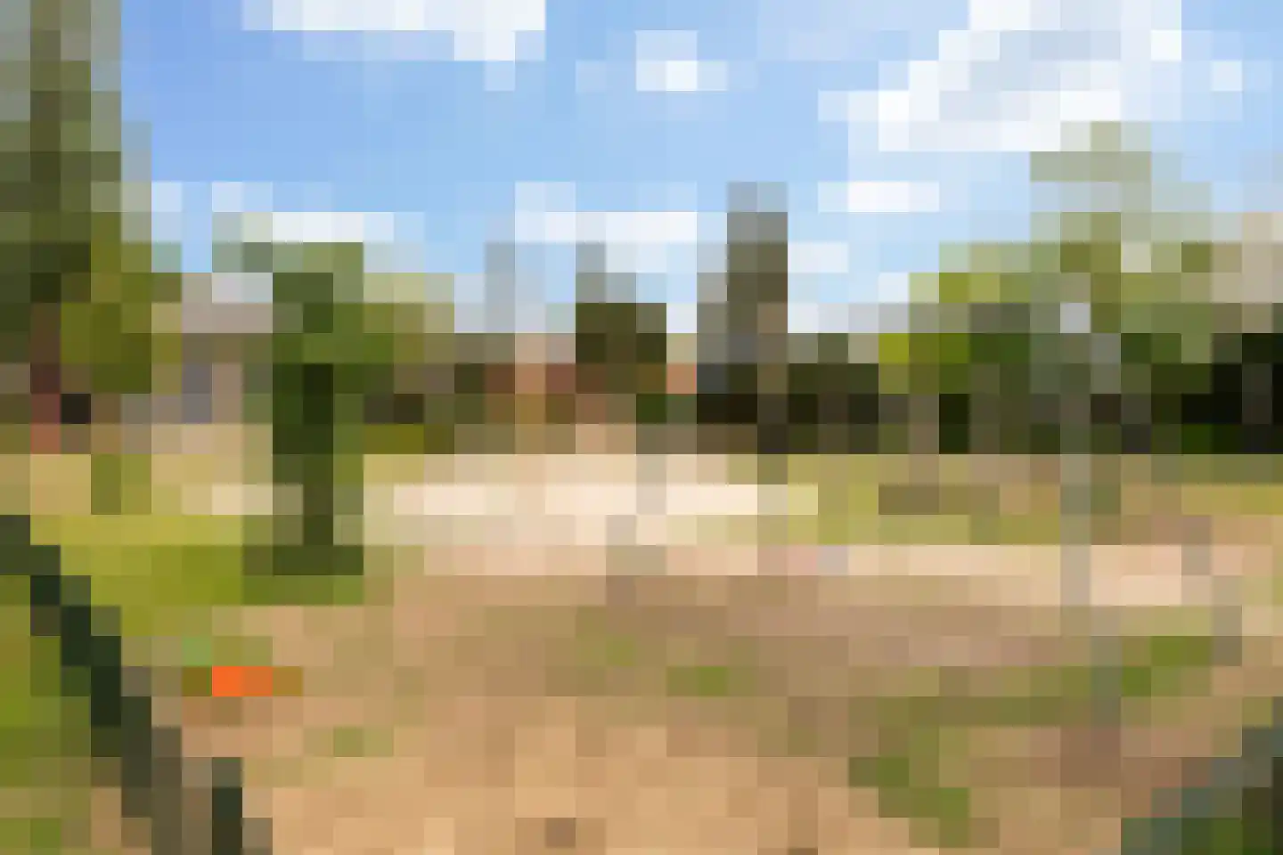 Nicolaas Beetslaan 8 Zeist thumbnail 42