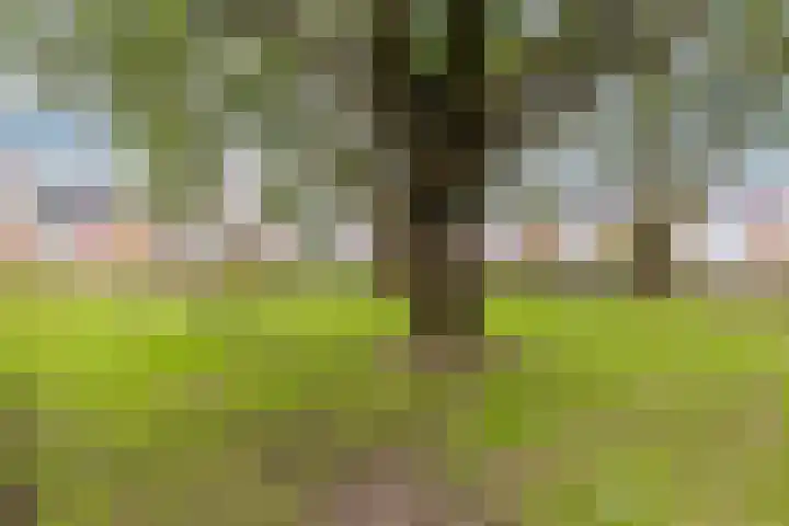 Nicolaas Beetslaan 84 Uithoorn thumbnail 33