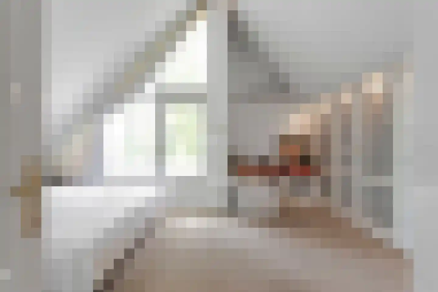Nicolaas Beetspad 4 Bussum thumbnail 23