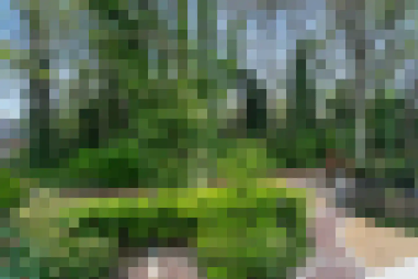 Nicolaas Beetspad 4 Bussum thumbnail 27