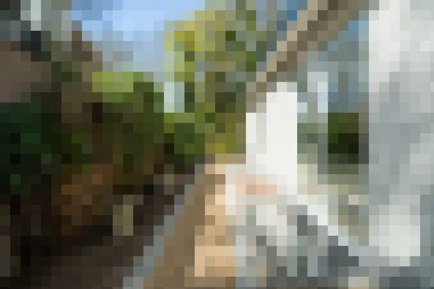 Nicolaas Beetspad 4 Bussum thumbnail 42