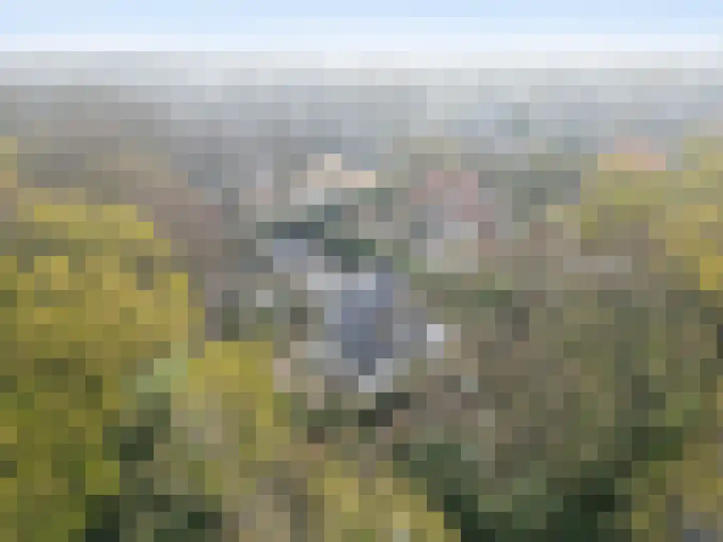Nicolaas Beetspad 4 Bussum thumbnail 47