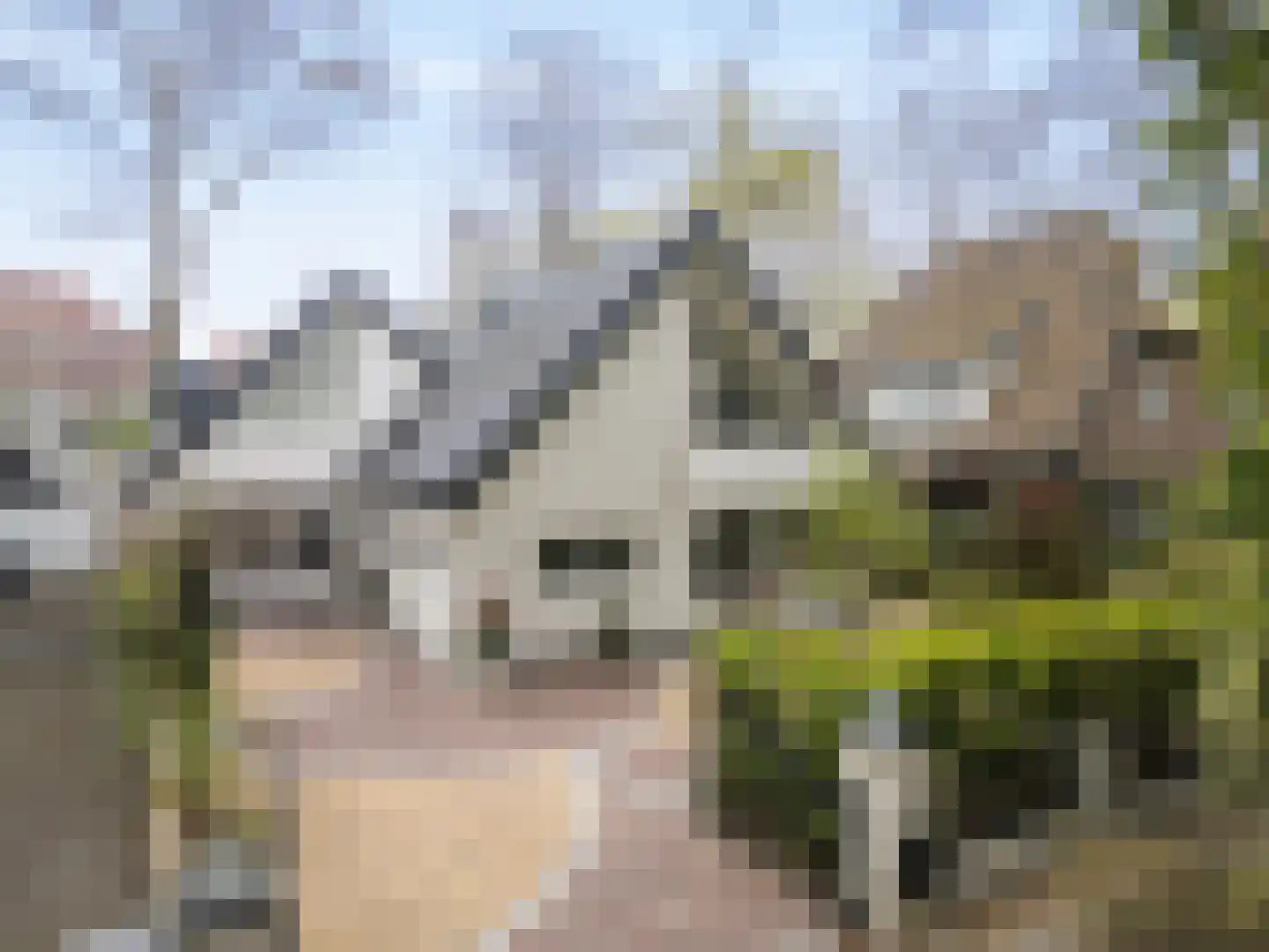 Nicolaas Beetspad 4 Bussum thumbnail 49