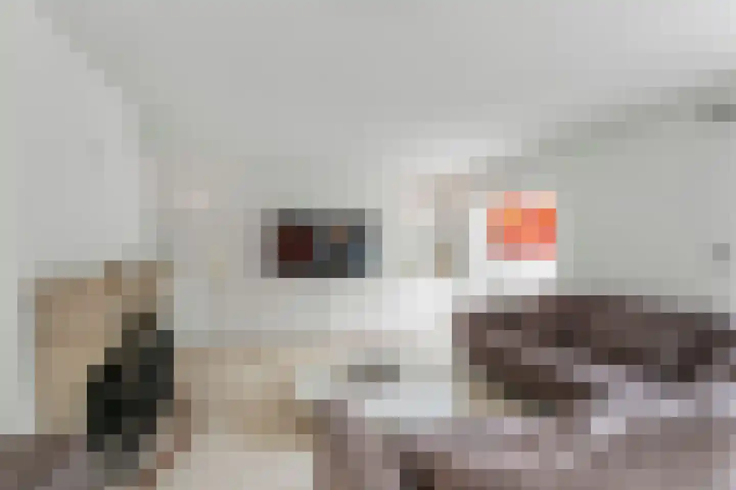 Nicolaas Beetspad 4 Bussum thumbnail 5