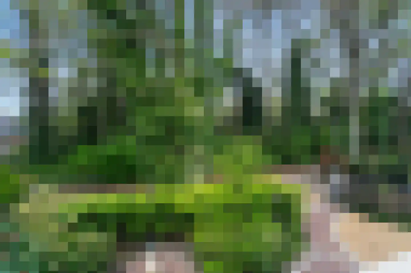 Nicolaas Beetspad 4 Bussum thumbnail 53