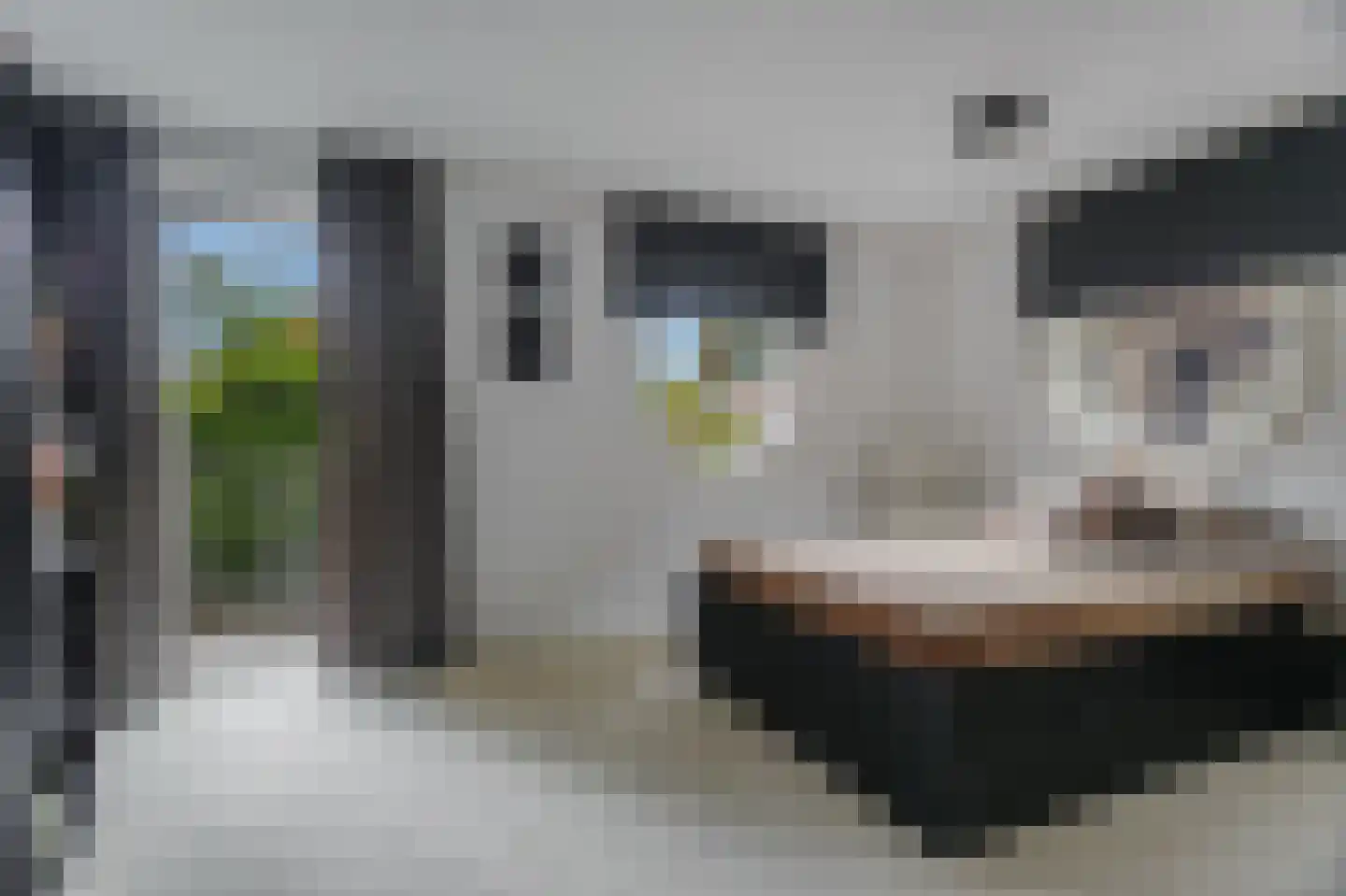 Nicolaas Beetspad 6 Bussum thumbnail 30