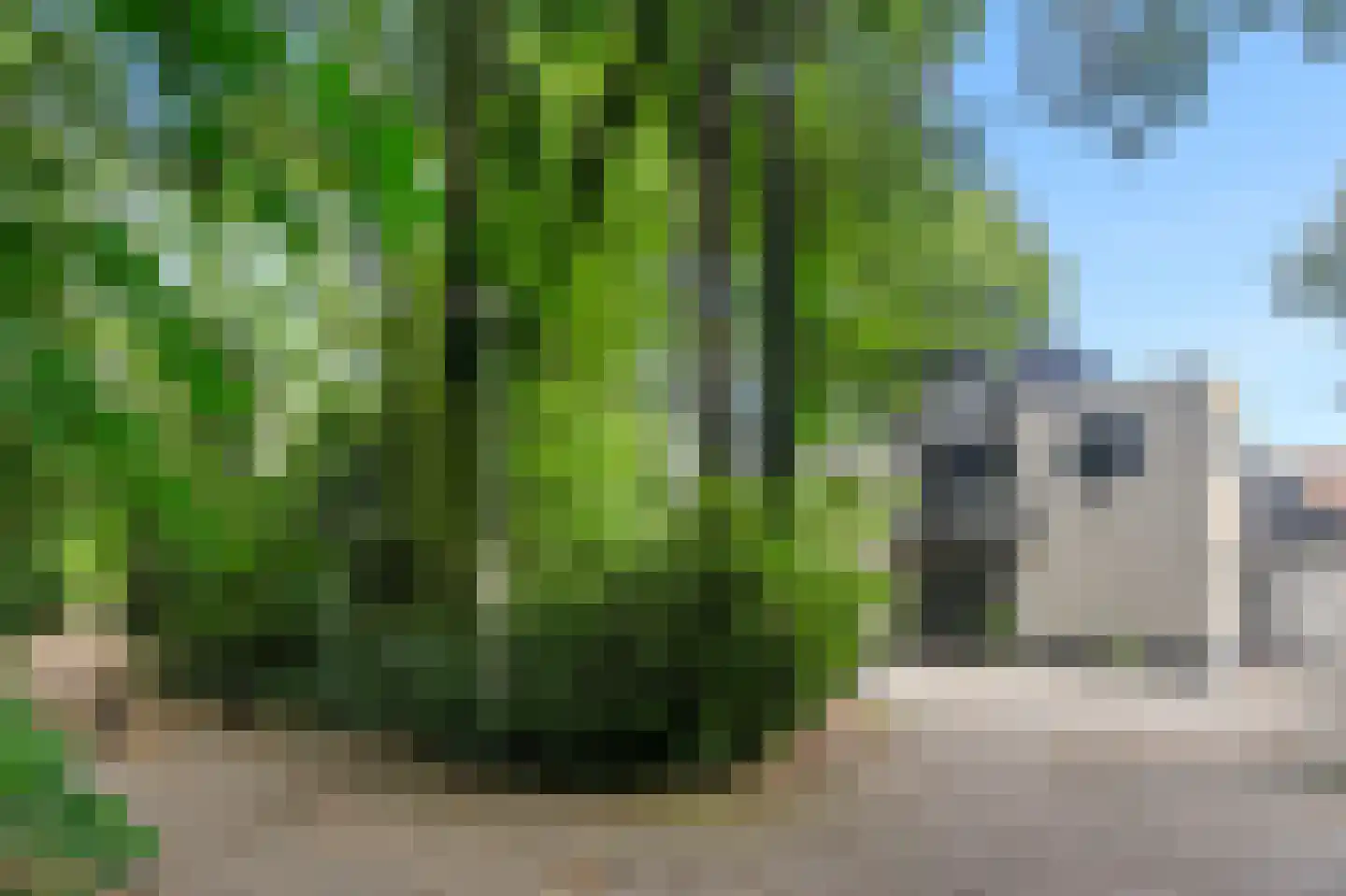 Nicolaas Beetspad 6 Bussum thumbnail 36